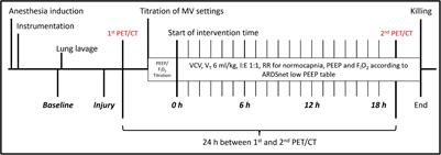 Mechanical Power Correlates With Lung Inflammation Assessed by Positron-Emission Tomography in Experimental Acute Lung Injury in Pigs